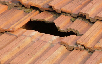 roof repair Margaret Marsh, Dorset