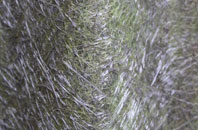 Margaret Marsh fibreglass roof work